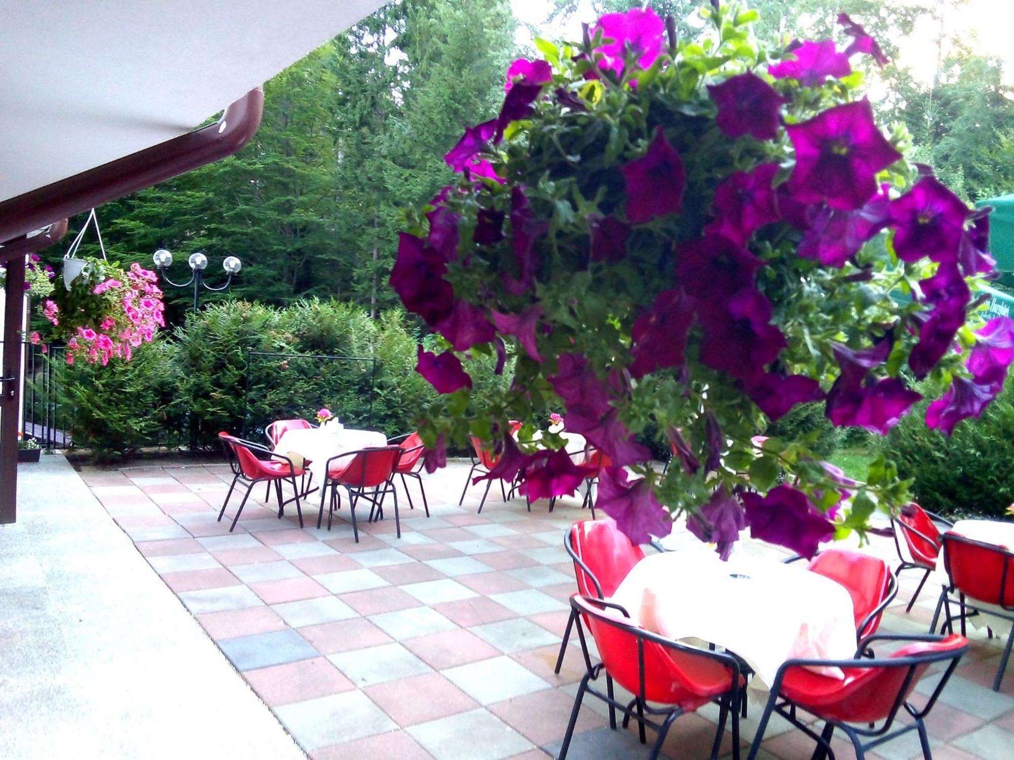 Hotel Hart Predeal Zewnętrze zdjęcie
