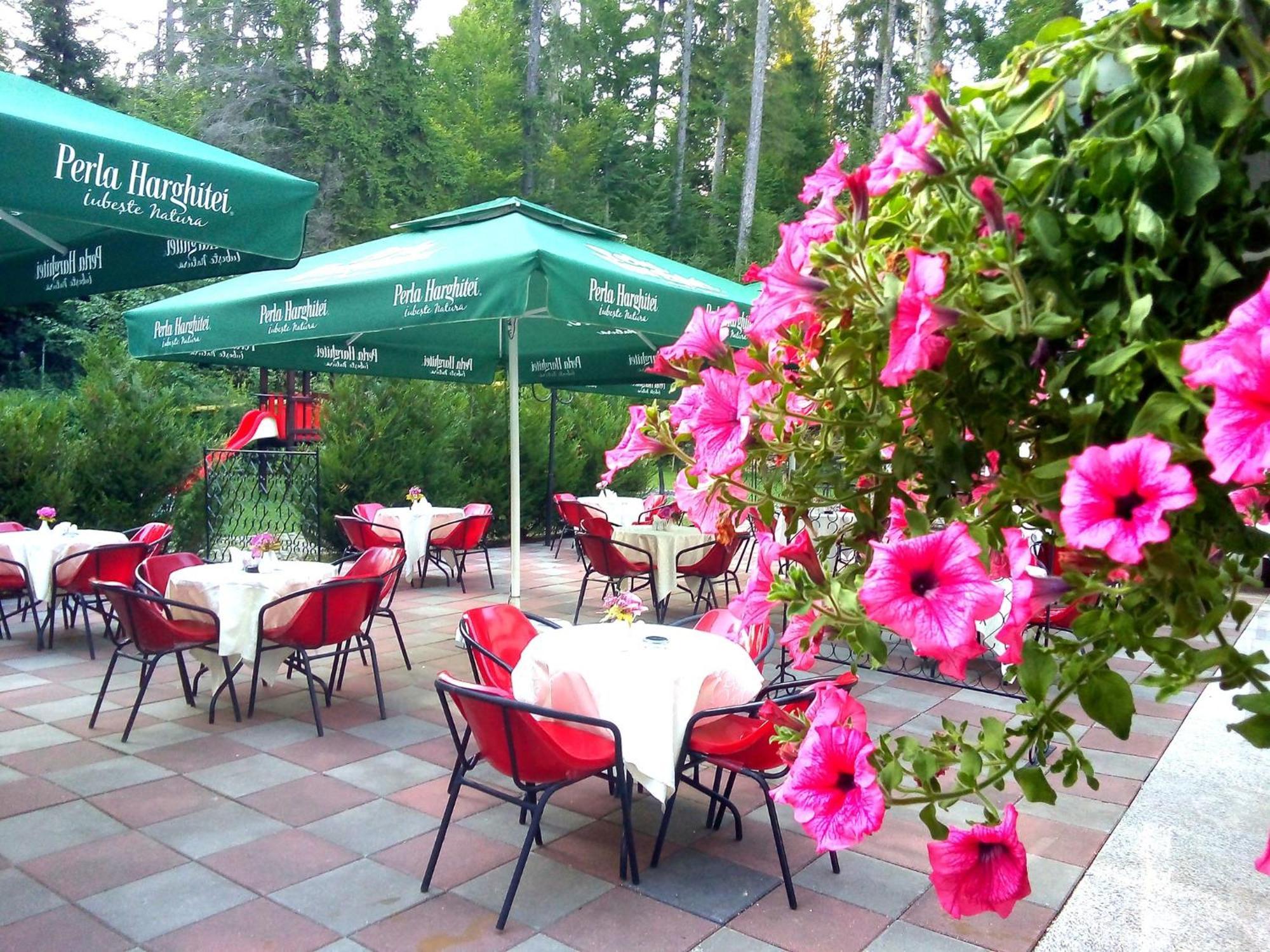 Hotel Hart Predeal Zewnętrze zdjęcie